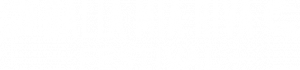 Avada Festival